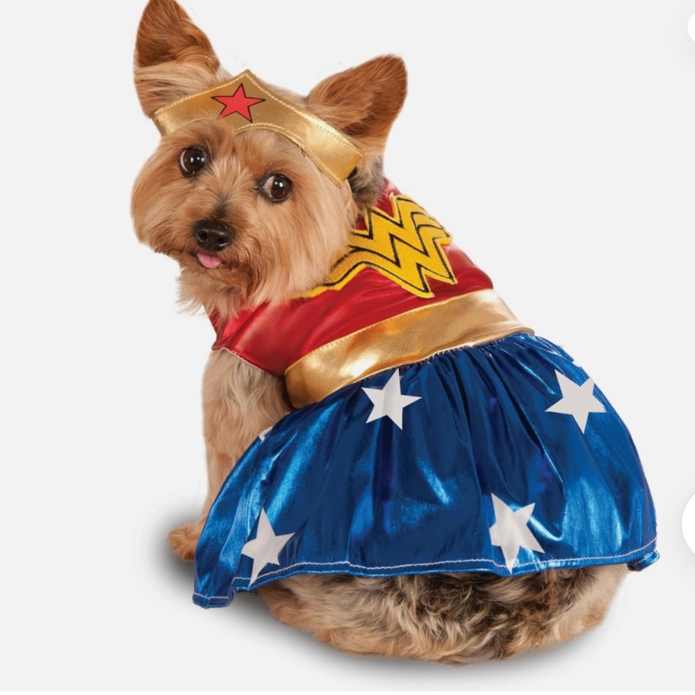 Dog Wonder Woman Superhero Costume Dress Size Medium for small dogs breed pet - Picture 1 of 7